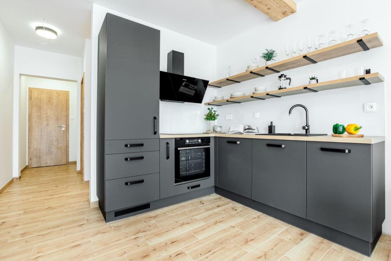 Apartmany Karlovy Dvory Horní Planá المظهر الخارجي الصورة