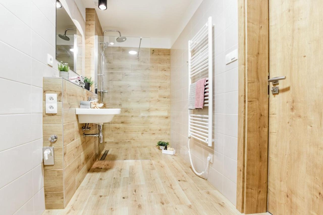 Apartmany Karlovy Dvory Horní Planá المظهر الخارجي الصورة