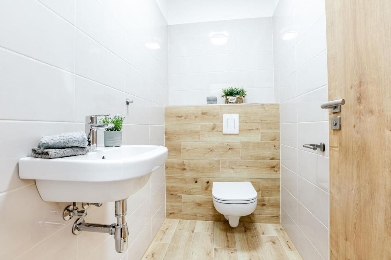 Apartmany Karlovy Dvory Horní Planá المظهر الخارجي الصورة